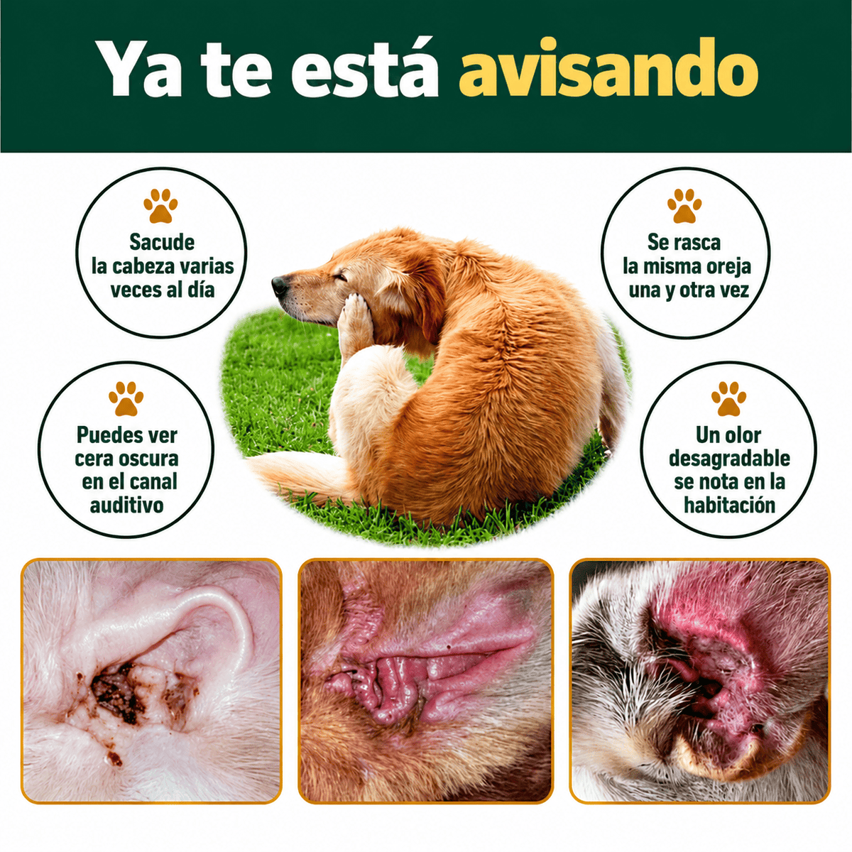 Limpiador de Oídos para Perros y Gatos
