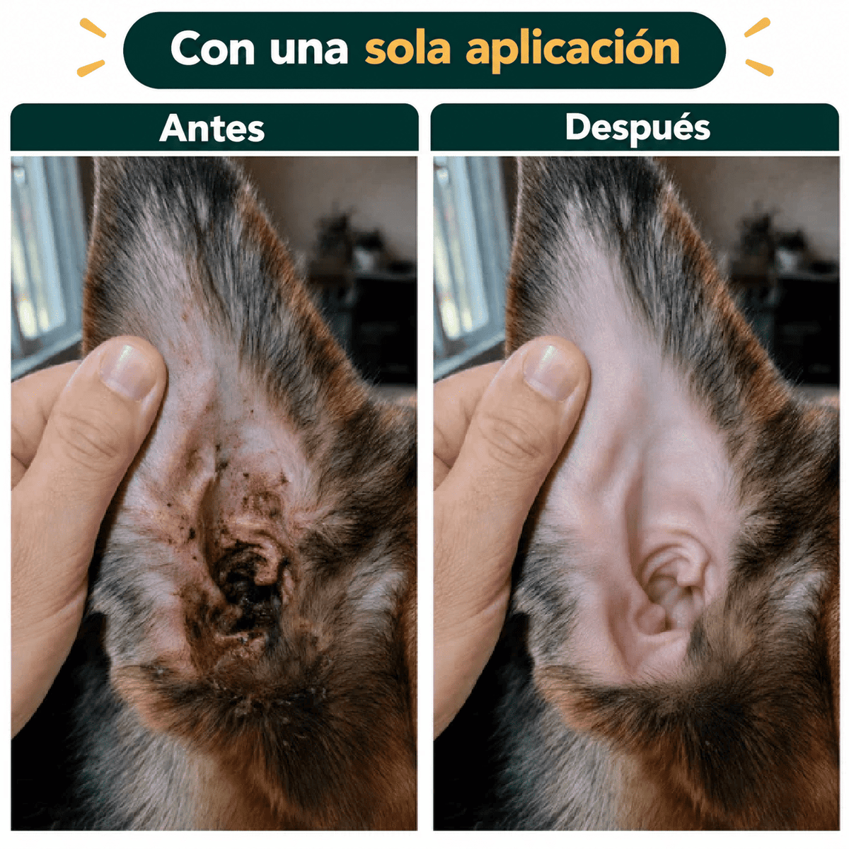 Limpiador de Oídos para Perros y Gatos