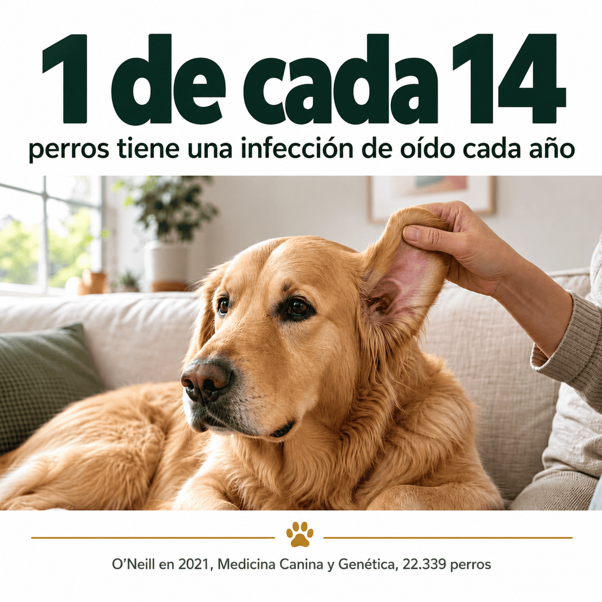 Limpiador de Oídos para Perros y Gatos